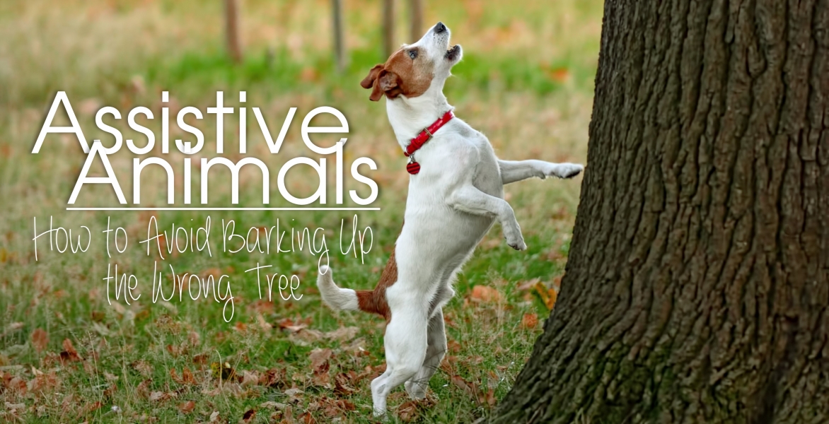 CRPM: Assistive Animals: How to Avoid Barking Up The Wrong Tree